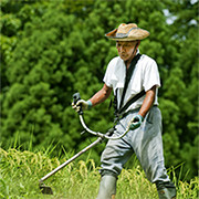 東下組イメージ